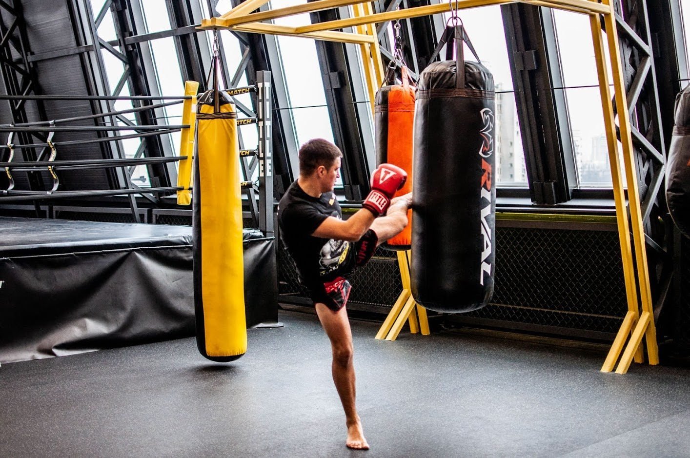 Как Parimatch Fight Academy развивает культуру спорта и мотивирует к тренировкам